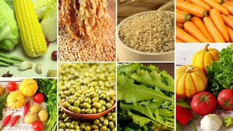 vegetarian-foods