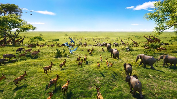 Sa Pang-anim na Araw, Nagsalita ang Lumikha, at ang Bawat Uri ng Buhay na Nilalang sa Kanyang Isipan ay Lumitaw nang Isa-isa