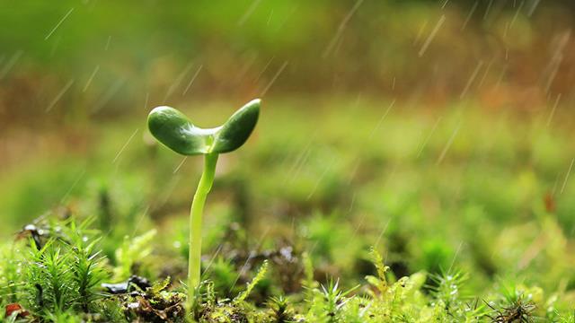 Yaong mga Gagawing Perpekto ay Kailangang Sumailalim sa Pagpipino