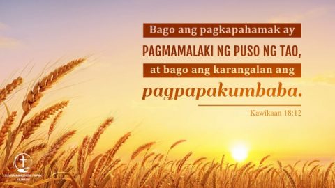 Bible Verse Tungkol sa Pagpapatawad  Mga Talata ng Biblia Tungkol sa