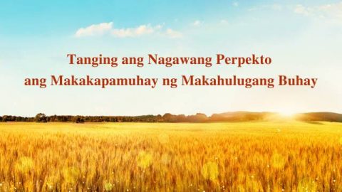 Tanging ang Nagawang Perpekto ang Makakapamuhay ng Makahulugang Buhay
