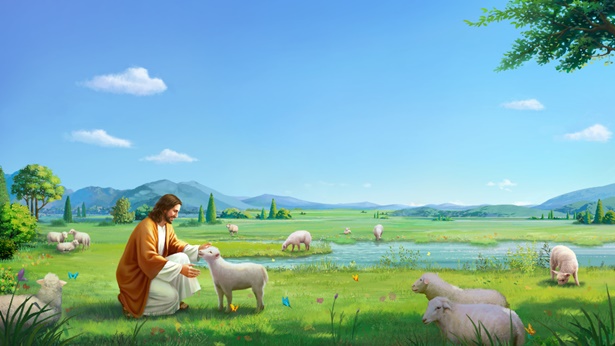 Ano Ang Kalooban ng Diyos sa Likod ng Talinghaga ng Nawawalang Tupa?