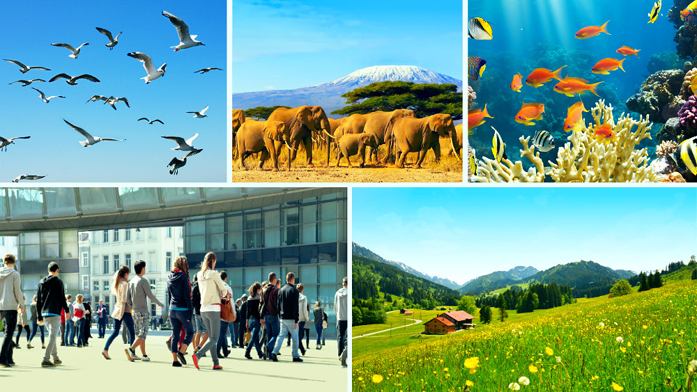 Ang Pagiging Totoo ng Kontrol at Pamamahala ng Lumikha sa Lahat ng Bagay at mga Buhay na Nilalang ay Nagsasalita Tungkol sa Tunay na Pag-iral ng Awtoridad ng Lumikha