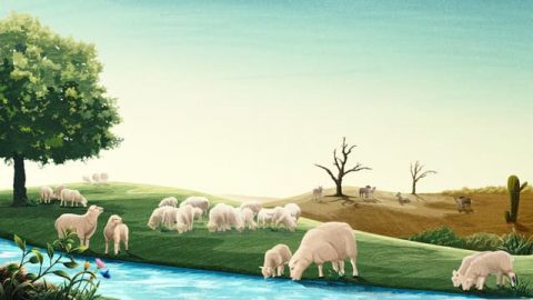 Masasabi ang Pagkakaiba sa Pagitan ng mga Salita ng Diyos at ng mga Salita ng Tao