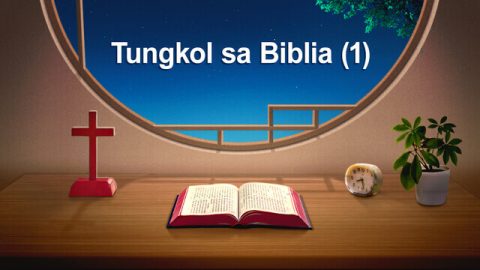 tungkol-sa-biblia